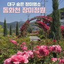 동화천 | 대구 숨은 장미명소 동화천 장미정원 위치 및 주차정보
