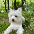 방배천로6-3 이미지