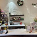 페트리코플라워