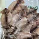 영덕수산물건조 이미지