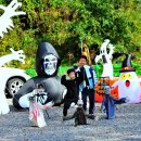 의령 거장산 오토캠핑장 이미지