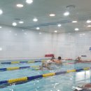 포세이돈 스위밍 아카데미 이미지