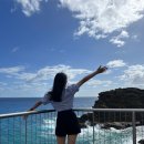 🌴11월의 하와이🌴