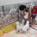 뽀송뽀송 이미지