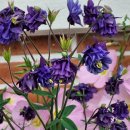 남명보건진료소 이미지