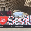 바르 민박 이미지