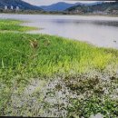 강변에서 이미지