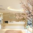 착한미소치과의원 이미지