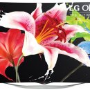 LG 55인치 HD급 곡면 OLED TV-350만원 이미지