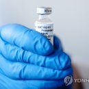 진선미가방 이미지