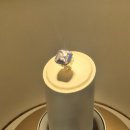 경주실내체육관 | [2024 서머] 젠지 vs 한화생명 결승전 후기 - 경주 실내체육관