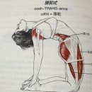 은진미용실 네이버블로그