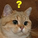 3470 | 내돈내산] A5 6공 다이어리 집에서 셀프 제작&amp;타공 후기/먼슬리, 위클리 다이어리 양식&amp;가계부 양식...