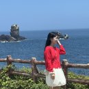(주)젤리버스 | [일상] 백수 2주일차 제주도 다녀온 후기 (젤리가 너무 좋아진..)