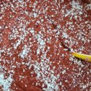 혜주농장 이미지