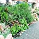 상봉게임장 이미지