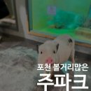 포천파크 | 서울근교 볼거리 많은 실내 동물원 / 포천 주파크 후기