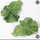 LONSDALIETE」 💎 우리의 영원한 빛 🤍 큥콘 후기 🥬 (멜론티켓 티켓팅, 사운드체크 VIP석, 스탠딩 준비물)