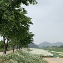 명보장여관 이미지