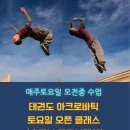 다산 용인대 수호태권도 이미지