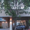 오눈오네(ohnunone) 이미지