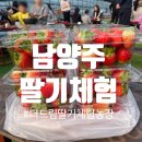 드림농장 | 남양주 딸기체험 더드림딸기체험농장 제1농장 후기 | 아이랑 가기 좋은 겨울 체험농장