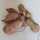 (주)다원코리아 이미지