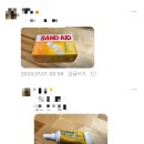 캡틴정비 | < 신혼여행 하와이 > 3일차 섬투어와 4일차 캡틴 밥 피크닉 세일링, 울프강스테이크