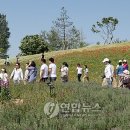 허브밸리(원형광장) 이미지