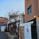 완벽한날들 | [속초 서점투어] 5곳. 완벽한날들, 동그란책, 문우당서림, 동아서점, 설악산책