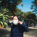 서귀포감귤박물관 이미지