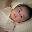 더조짐 | [리뷰]아이누오 두상베개 한달 사용 후기｜사두증 조짐 있었던 아기 현재 상태