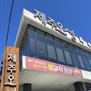 오성산단 내부도로 | 내돈내산 제주도중문맛집 &lt;제주오성 순살갈치조림&gt; 솔직 후기📍