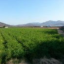 구미농장 이미지