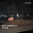 부석초등학교 | 서산 부석초 AI 융합 수학체험전 다양한 활동이 가득해요.