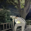 온봄의원 | 2024년 9월 넷째주 기록