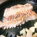 메밀꽃돼지 이미지