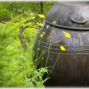 초록민박 이미지