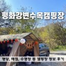 평화강변수목캠핑장 | 연천 평화강변수목캠핑장 명당추천 후기