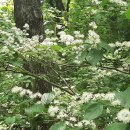 만나농장 이미지