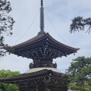 바다동산 | 여행] 일본 3대 절경 '아마노하시다테' 데이투어 후기: 리프트 놀이동산부터 바다 위 자전거 레일링까지