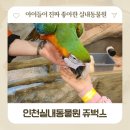 11650-17-204-2 | 인천실내동물원 쥬벅스 남동구 아이들과 가볼만한곳 동물먹이주기 체험 후기