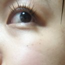세이지영