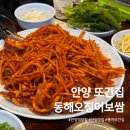 쌍용자동차동해서비스프라자 | 안양 맛집 풍자 또간집 1위 동해오징어보쌈 솔직후기