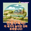 부동산이즈최영순부동산공인중개사사무소 | 전원주택지, 이 3가지 모르고 샀다간 정말 큰일 납니다!(후회 후기까지)