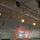 고립낙원 이미지