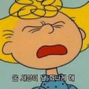 선셋(sunset) 이미지