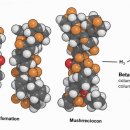 건강한우리약국 이미지