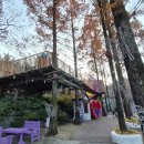 프로방스 | 가족과 떠난 청도 프로방스 당일치기 여행 후기｜오후 3시 도착이 정답이었던 이유