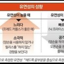 마음에 드는 샤프트 유연성을 찾는다 이미지